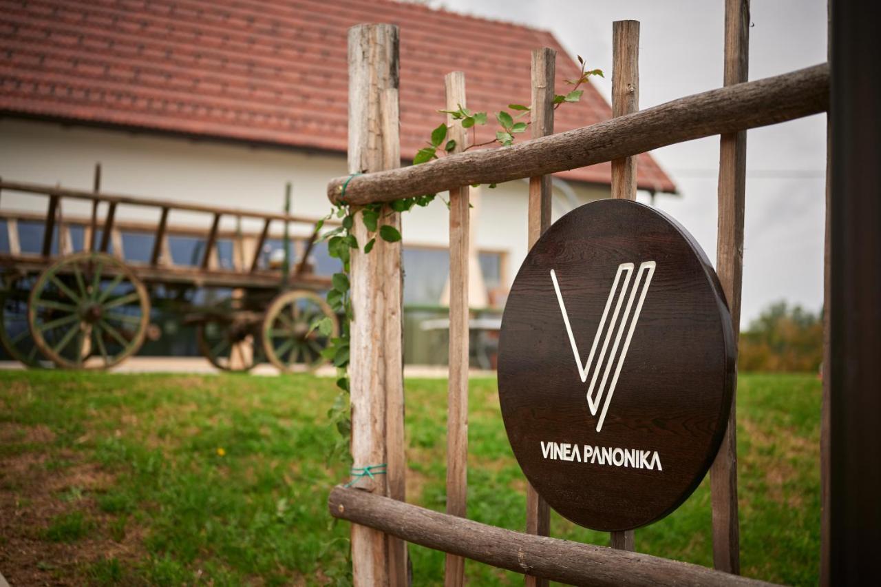 Vila Vinea Panonika Wine & Mind Retreat Radenci Exteriér fotografie